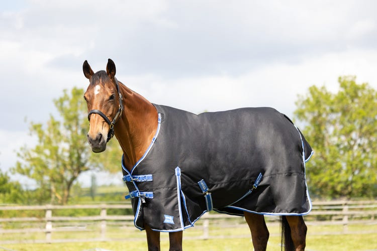 StormX Empra Extra 200g Turnout Rug with Detachable Neck image 3